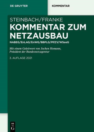  Kommentar zum Netzausbau